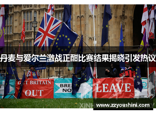 丹麦与爱尔兰激战正酣比赛结果揭晓引发热议